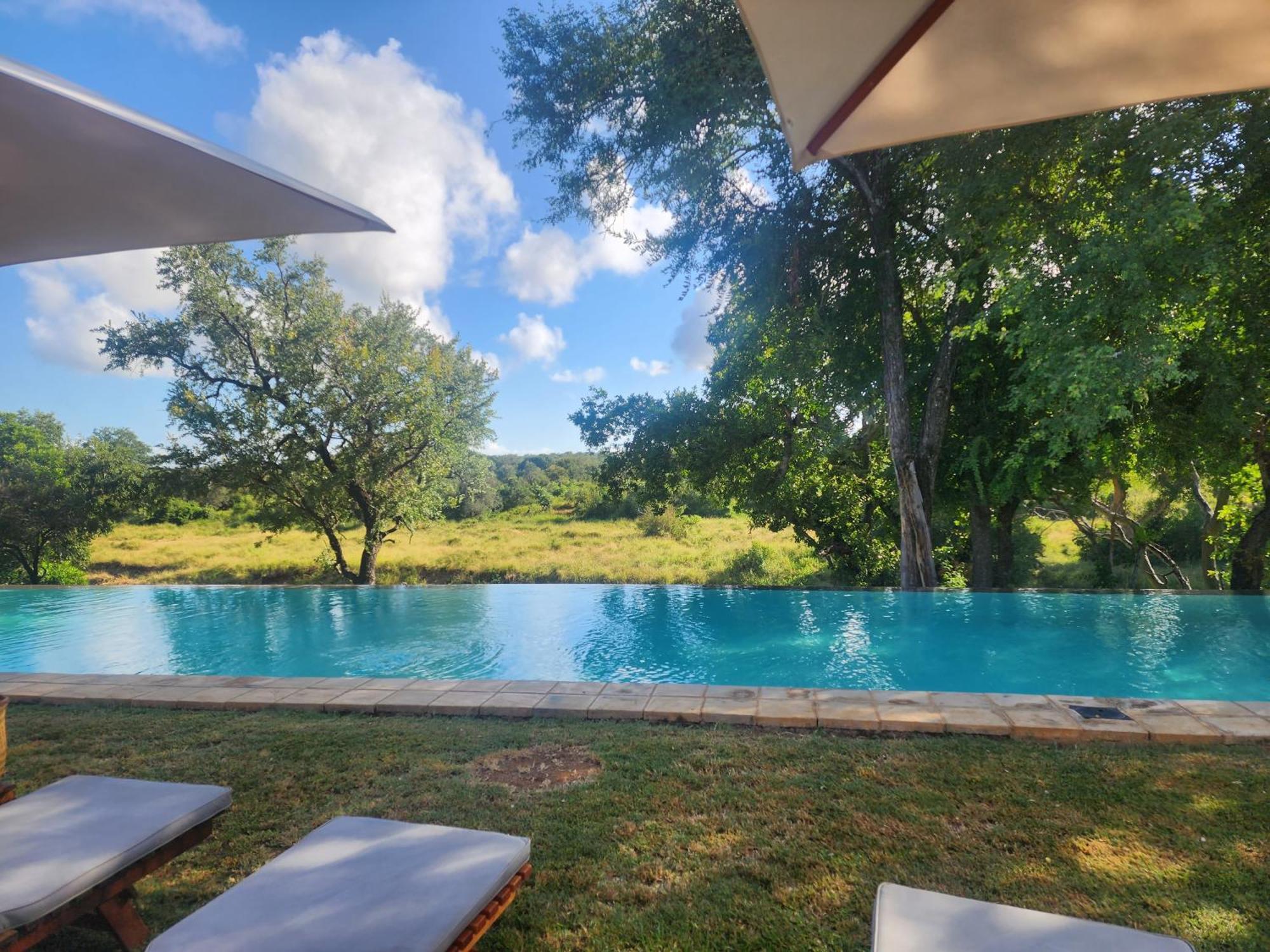 Karongwe Portfolio - Becks Safari Lodge Karongwe Game Reserve Exteriér fotografie